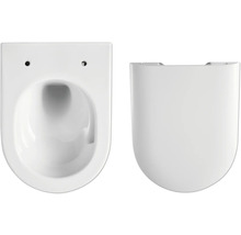 Vägghängd toalettstol av sanitetskeramik med toalettsits