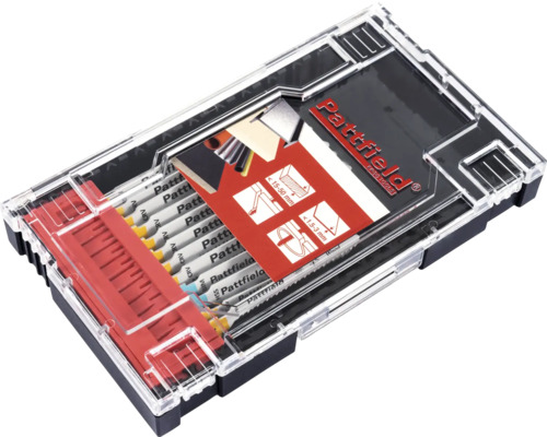 Pattfield sticksågsblad set i förvaringslåda