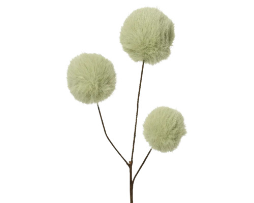 Dekorativ gren med tre runda, fluffiga blomhuvuden.