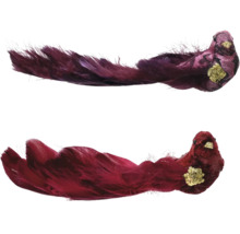 Två dekorativa fåglar med fjädrar