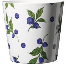 Blomkruka med blåbärsmönster