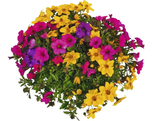 Blomsterarrangemang med olika blommor