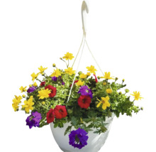 Hängande blomkorg med gula, röda och lila blommor