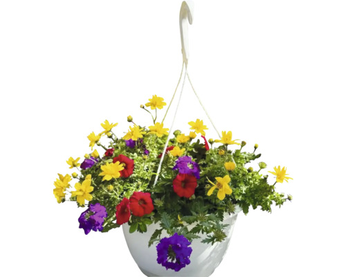 Hängande blomkorg med gula, röda och lila blommor