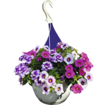 Hängande blomkruka med färgglada blommor