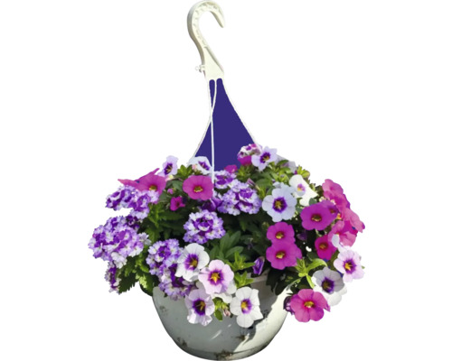 Hängande blomkruka med färgglada blommor
