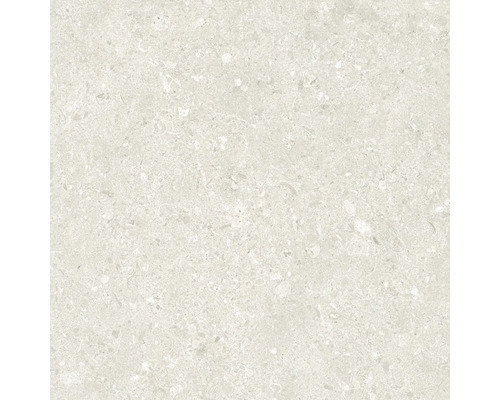 Ljust golvkakel med prickig yta