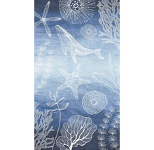 Grafik med valar, sjöstjärnor och alger på blå bakgrund