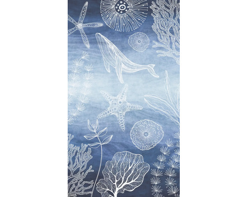 Grafik med valar, sjöstjärnor och alger på blå bakgrund