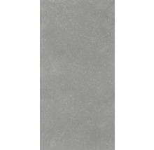 Utomhusklinker FLAIRSTONE Granitkeramik Skyfall grå 120x60x20 cm