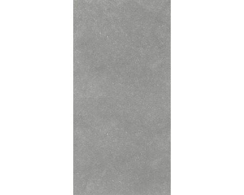 Utomhusklinker FLAIRSTONE Granitkeramik Skyfall grå 120x60x20 cm