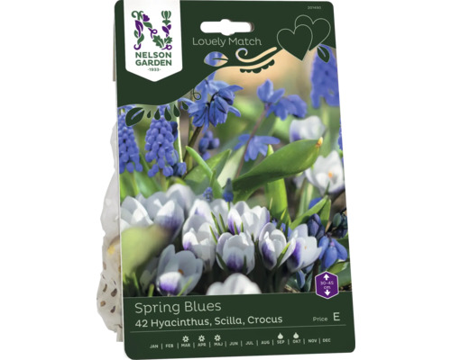 Spring Blues blomsterlökförpackning med hyacinter, scilla och krokusar