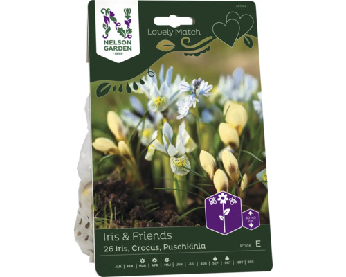 Våriris/Krokus/Polslinshyacint NELSON GARDEN Lovely Match Iris&Friends 26st Förpackning med iris, krokus och dvärgirisblomsterlökar