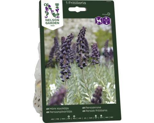 Förpackning med en Fritillaria-växt med en bild av den blommande växten och Nelson Garden-logotypen