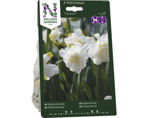 Förpackning med fyra narcisser av sorten ''Obdam'' från Nelson Garden