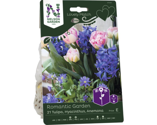 Tulpan/Hyacint/Balkansippa NELSON GARDEN Lovely Match Romantic Garden 21st Romantisk trädgårdslökblandning med tulpaner, hyacinter och anemoner