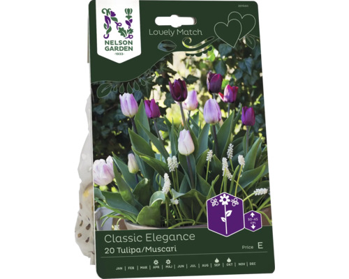 Tulpan/pärlhyacint NELSON GARDEN Lovely Match Tulipa/Muscari Classic Elegance 20st Nelson Garden Classic Elegance blomsterlöksförpackning med 20 tulpaner och pärlhyacinter