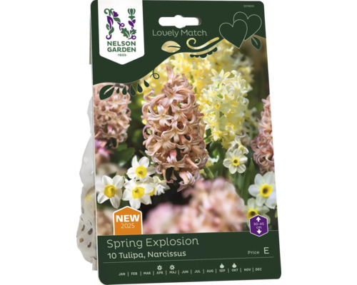 Förpackning Spring Explosion med 10 tulpaner och narcisser