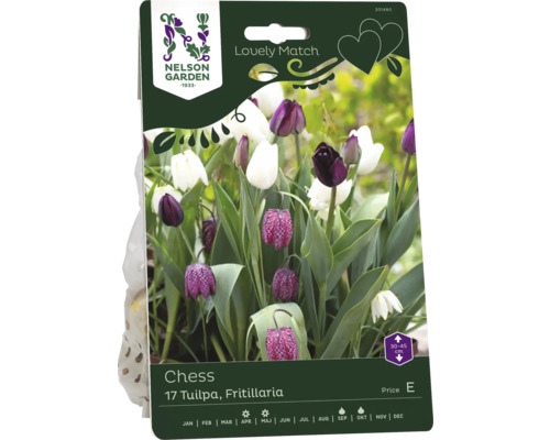 Tulpan/Kungsängslilja NELSON GARDEN Lovely Match Tuilpa/Fritillaria Chess 17st Förpackning med schackbrädesblommor och tulpaner från Nelson Garden