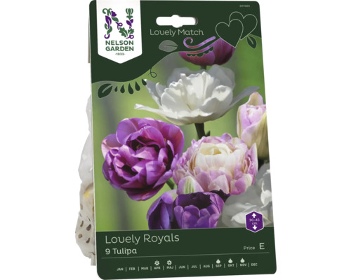 Förpackning med tulpanlökar Lovely Royals från Nelson Garden
