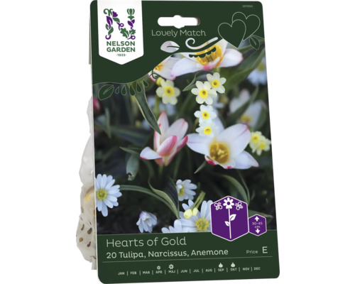Tulpan, narciss, balkansippa NELSON GARDEN Lovely Match Hearts of gold 20st Förpackning med 20 tulpaner, påskliljor och anemonlökar av sorten Hearts of Gold från Nelson Garden