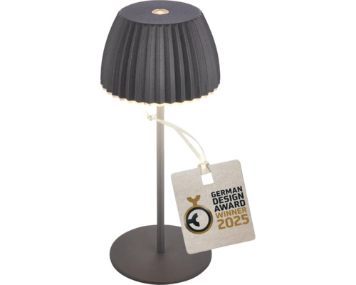 Bordslampa med German Design Award Winner 2025 sigill
