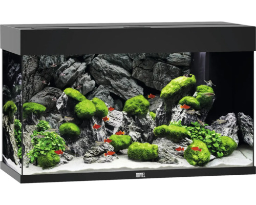 Akvarium JUWEL Rio 125 LED svart