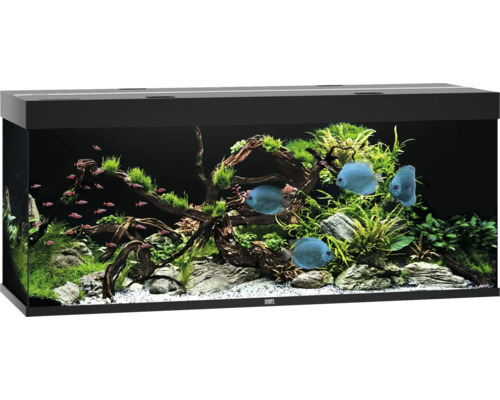 Akvarium JUWEL Rio 450 LED svart