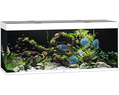 Akvarium JUWEL Rio 450 LED vit