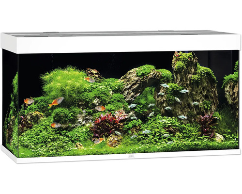Akvarium JUWEL Rio 350 LED vit