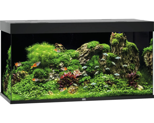 Akvarium JUWEL Rio 350 LED svart