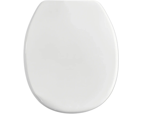 Toalettsits av plast