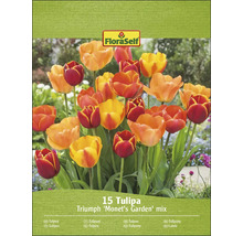 FloraSelf 15 Tulipa Triumph ''Monets trädgård'' blandning på förpackningen