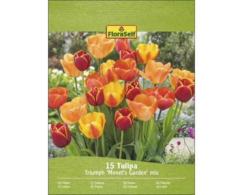 FloraSelf 15 Tulipa Triumph ''Monets trädgård'' blandning på förpackningen