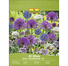 FloraSelf 40 Allium Bee and Butterfly mix förpackning