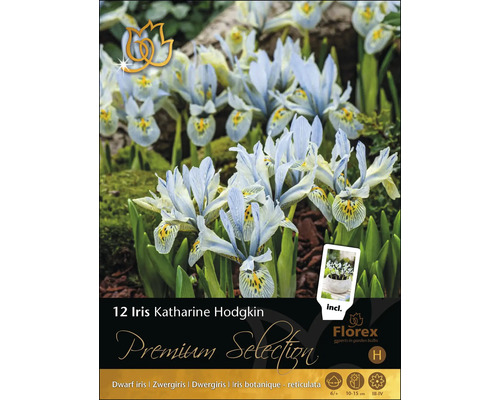 12 Iris Katharine Hodgkin lökar