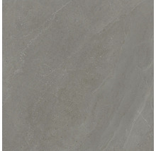 Grå golvplatta av stengods