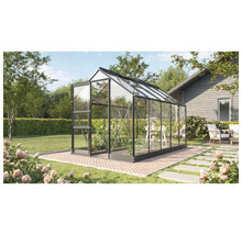 Växthus VITAVIA Apollo 6200 323x195cm 6,2m² svart