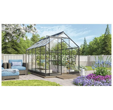 Växthus VITAVIA Apollo 6200 323x195cm 6,2m² svart