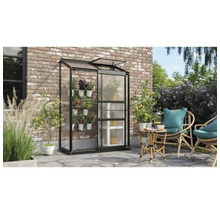 Växthus VITAVIA Ida 900 131x69cm 0,9m² svart