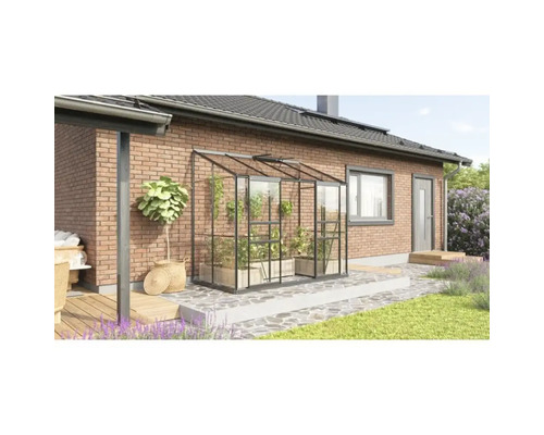 Växthus VITAVIA Ida 3300 3mm delat glas 255x132cm 3,3m² svart inkl. sockel Växthus av glas på en husvägg med växter
