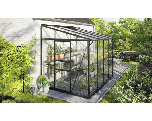 Växthus VITAVIA Ida 5200 3mm delat glas/6mm polykarbonattak 262x201cm 5,2m² svart Växthus med växthyllor i trädgården.