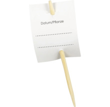 Plantetikett av trä med skrivfält för datum och växtnamn