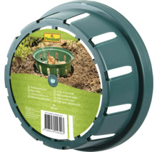 Set med blomsterlök krukor från FloraSelf