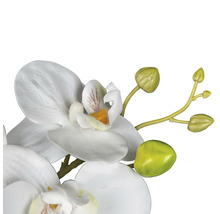 Närbild av en konstgjord orkidé med blommor och knoppar