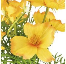 Konstgjorda gula blommor med gröna blad