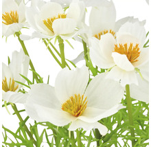Närbild av konstgjorda vita blommor med gula accenter och gröna stjälkar.