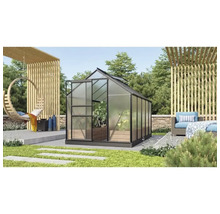 Växthus VITAVIA Venus 6200 321x195cm 6,2m² svart