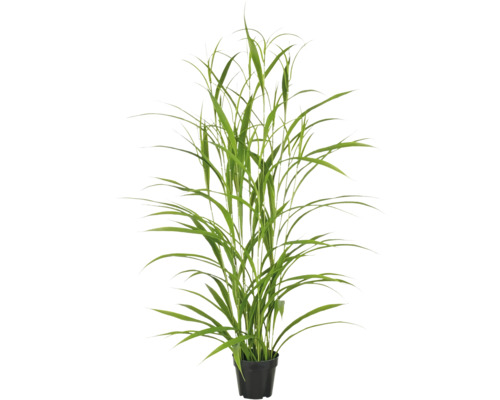 Konstväxt Jumbogräs ca 130cm i kruka