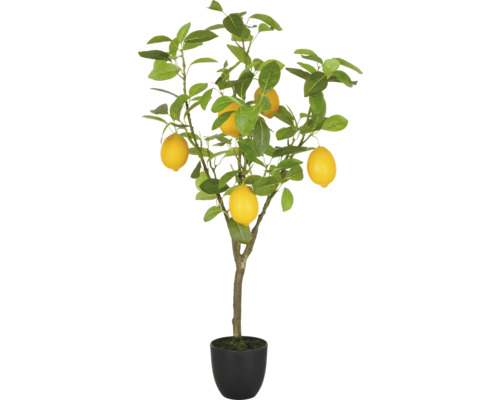 Konstväxt Citronträd 90cm grön i kruka